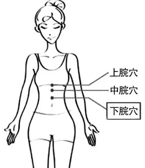 这条腹部正中线藏着大秘密