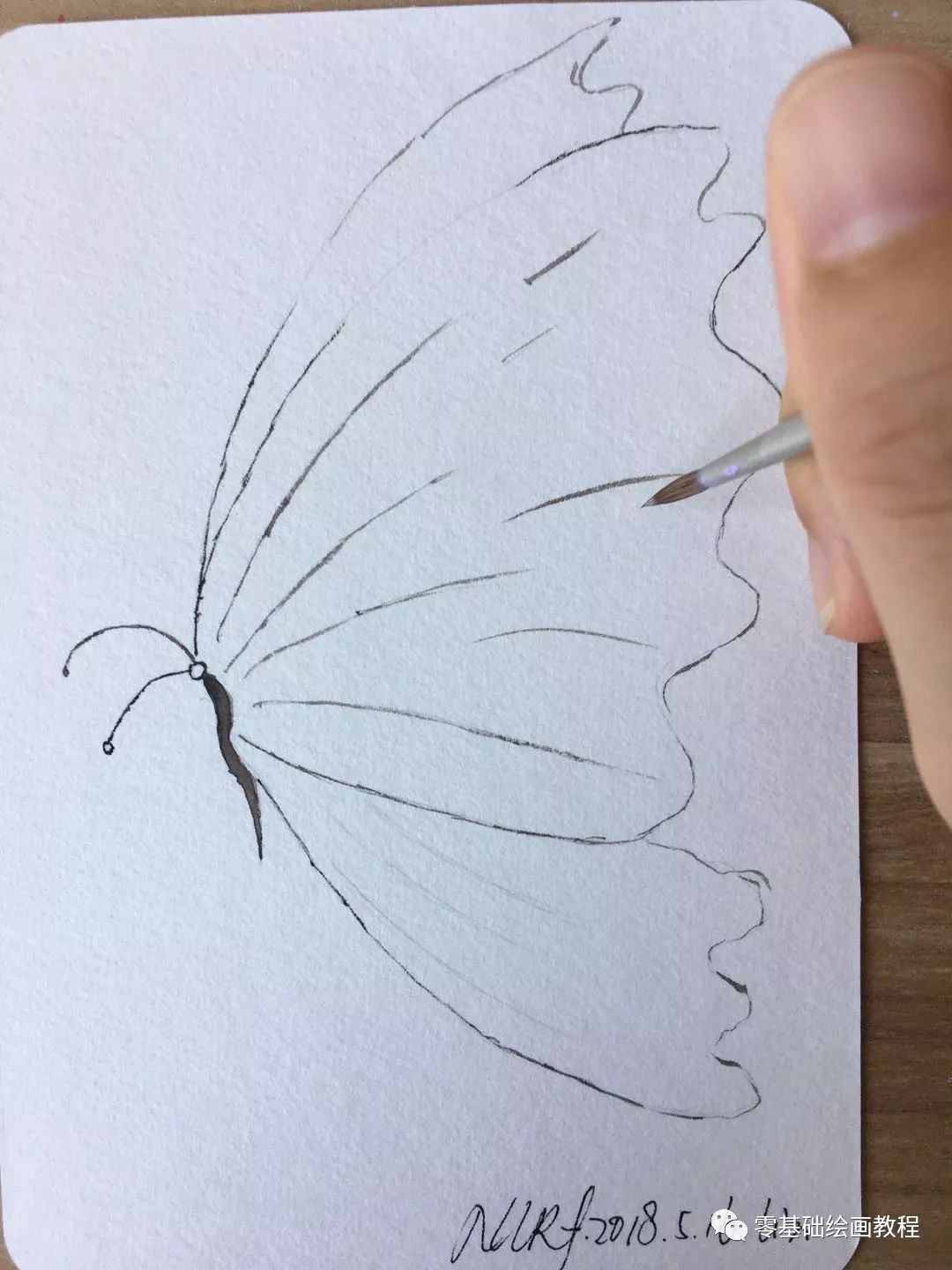 零基础绘画教程-水彩《蝴蝶的透明翅膀》