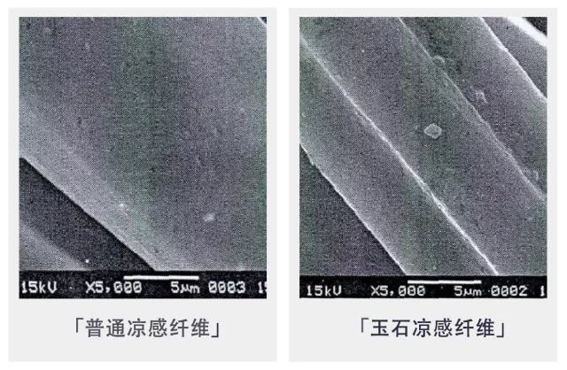 用电子显微镜下放大1000倍观察织物的纤维,普通涤纶纤维表现呈现非