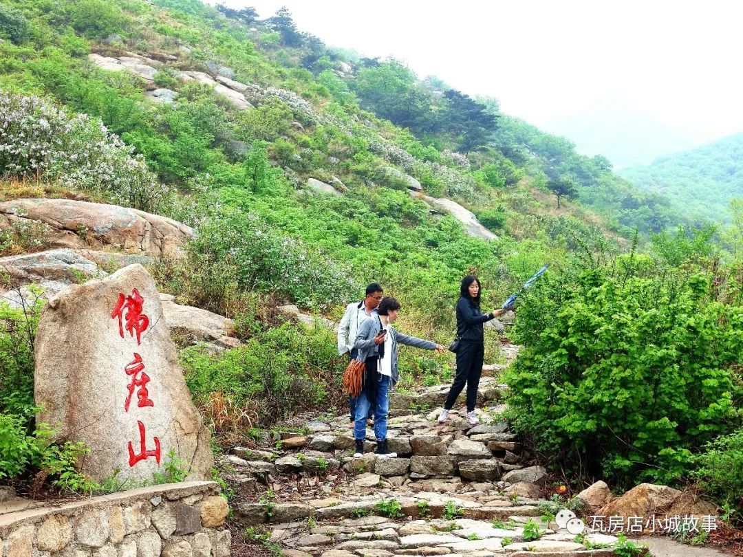 【区县旅游】瓦房店最新生态旅游好去处——许屯佛座山