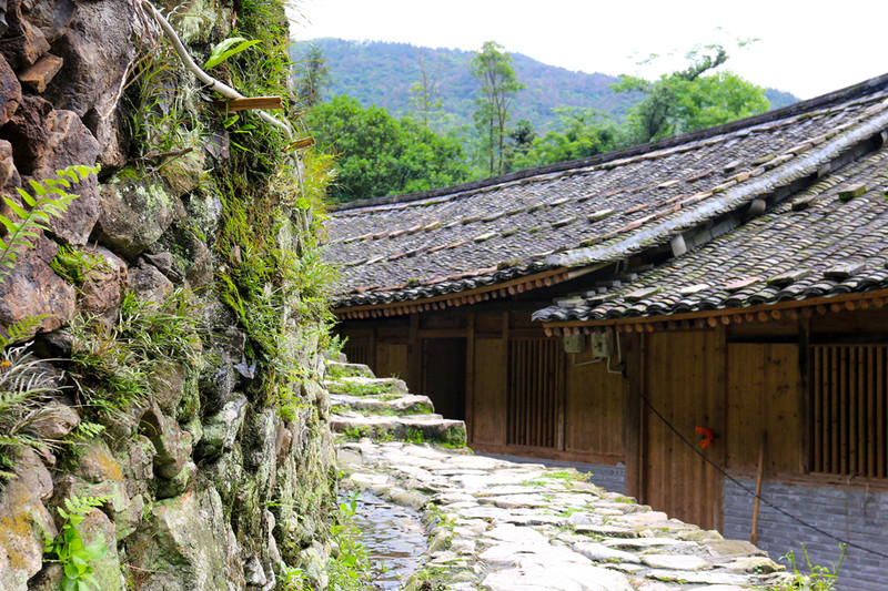 美丽乡村,探访600多年历史苍南县碗窑古村!