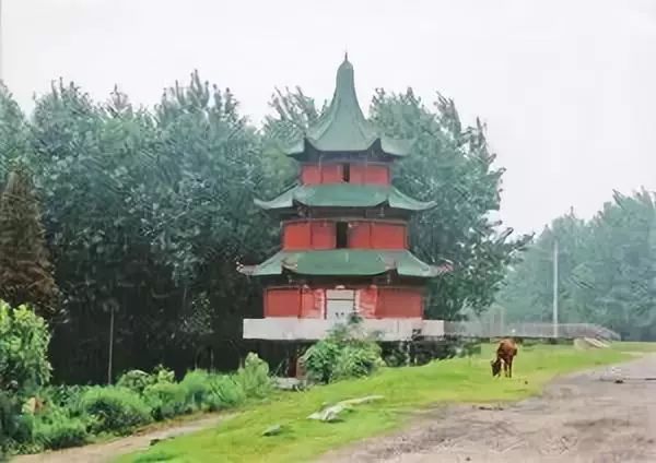 岳口镇市人口_湖北岳口镇图片(3)