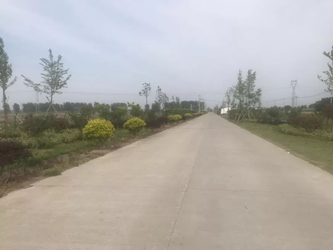 当我站在农村的道路向前眺望时.