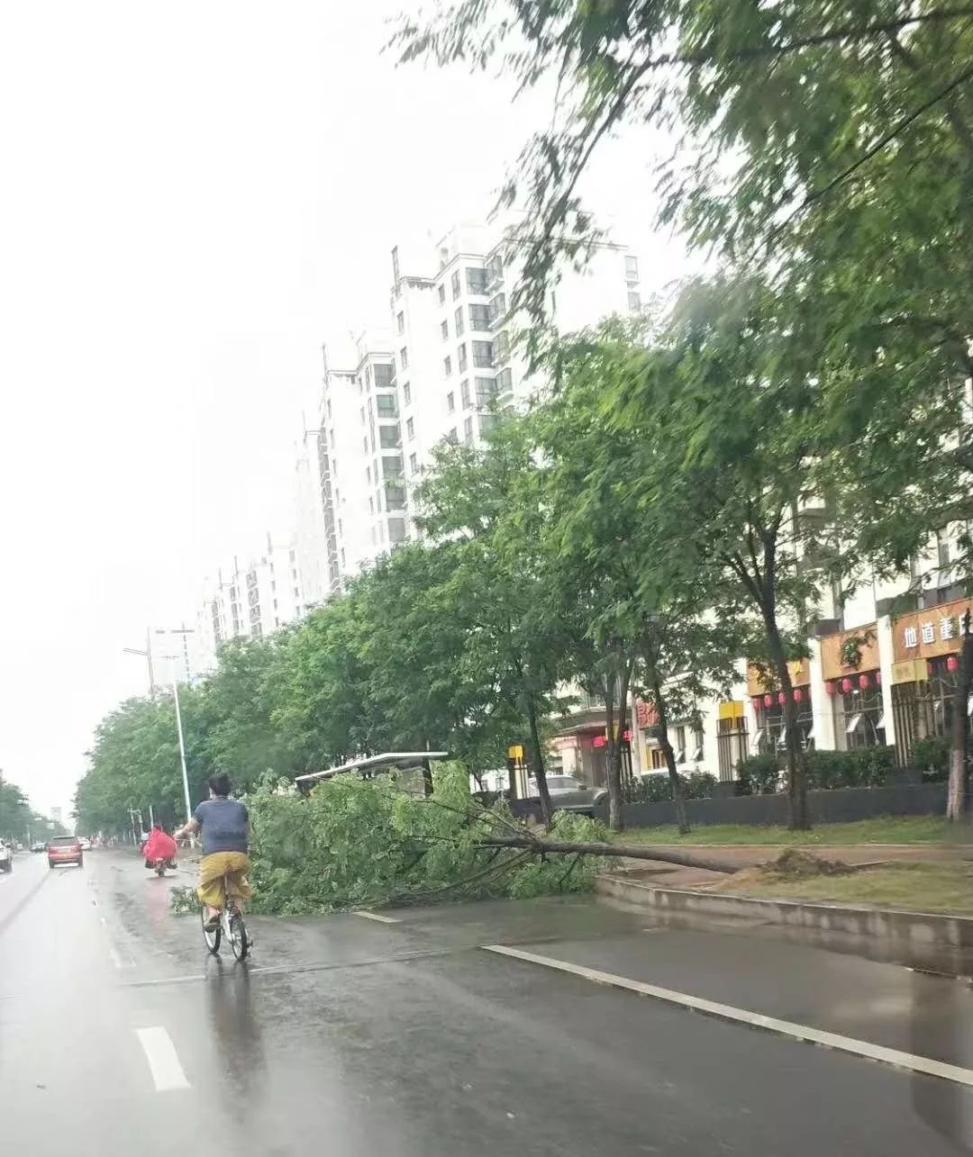 临沂多少人口有多少人_临沂人口热力图