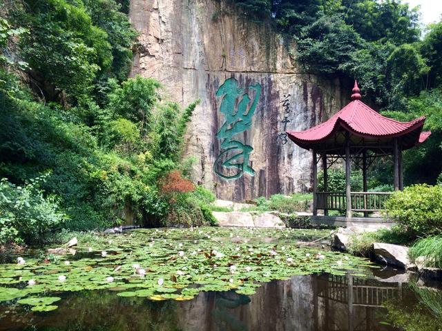 浙江境内四大名山，座座绮丽秀美，不信你全都去过