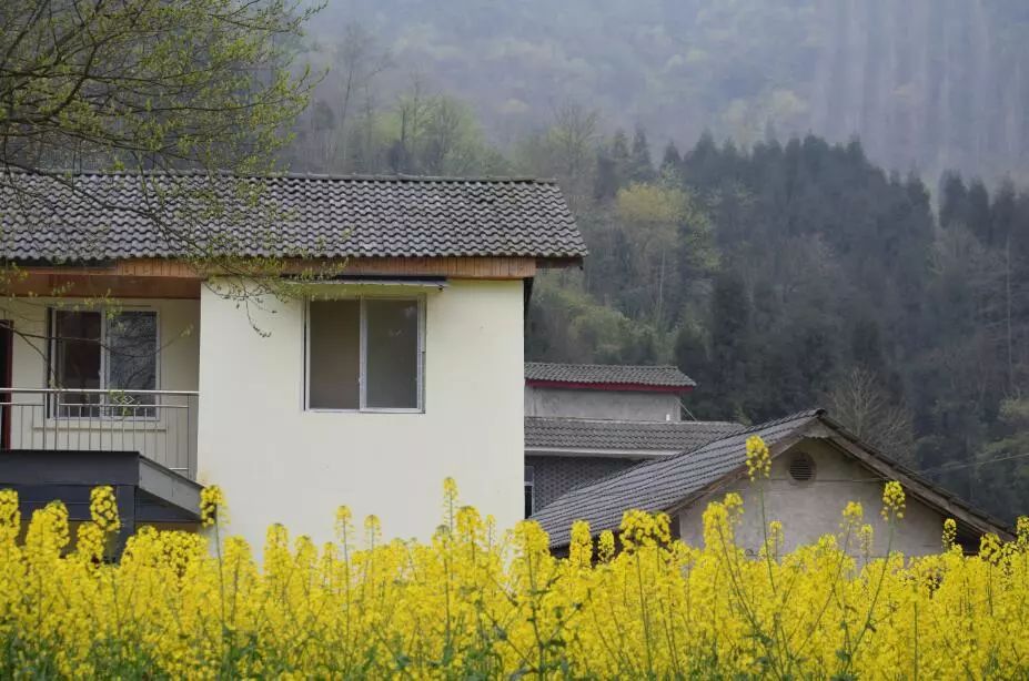 董坪村特别让我们难以忘却的是杨坪村,中坝村,杨坪村依山就势而建,隐