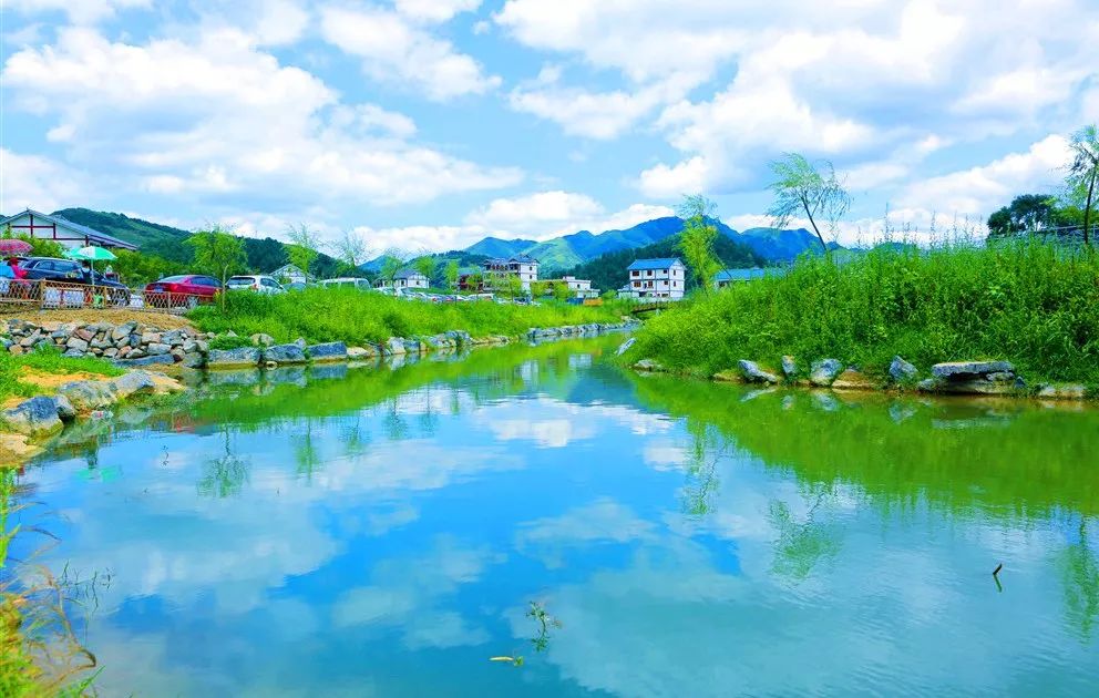 花茂村人口_花茂村