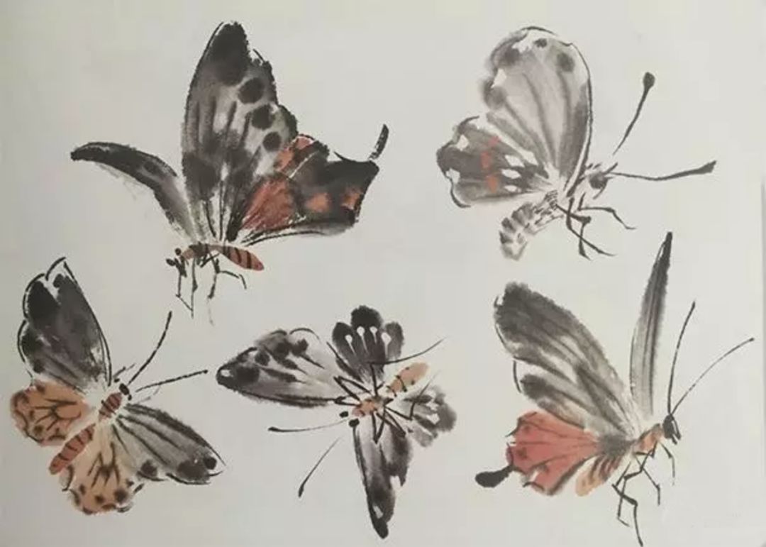 蝴蝶与喜鹊的写意画法