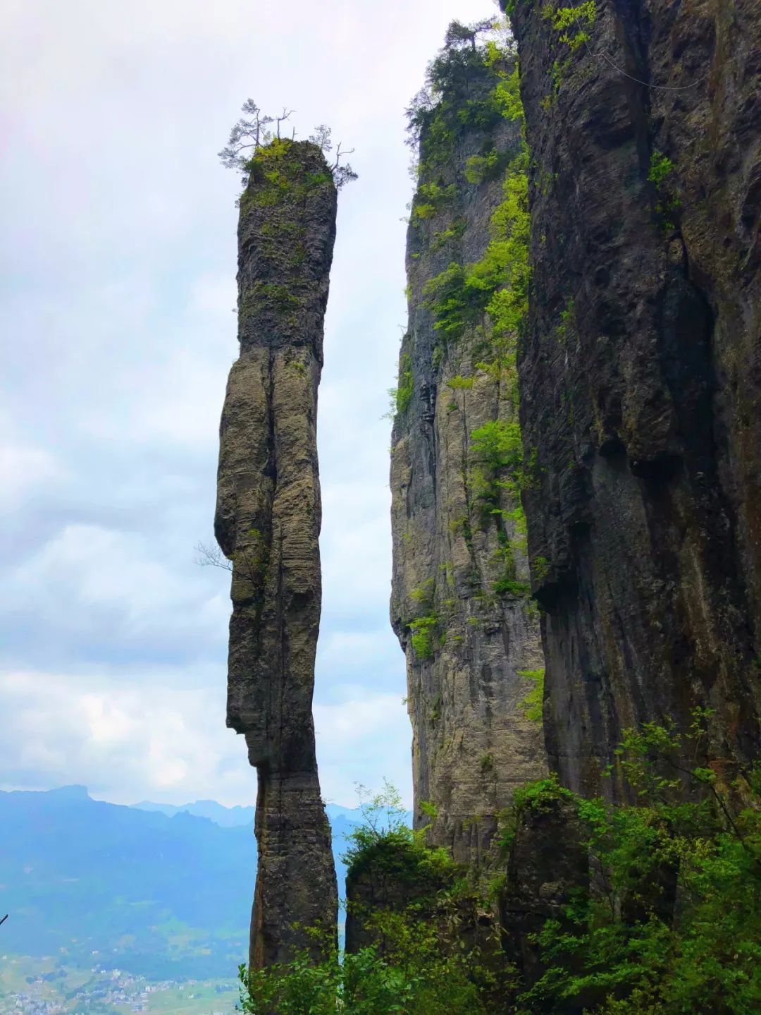 湖北神龙架多少人口_湖北七普人口数据公布(3)