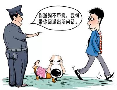 金毛吃太好小心超标变禁养犬 遛狗不栓绳将罚200元|哈市城区一户只准