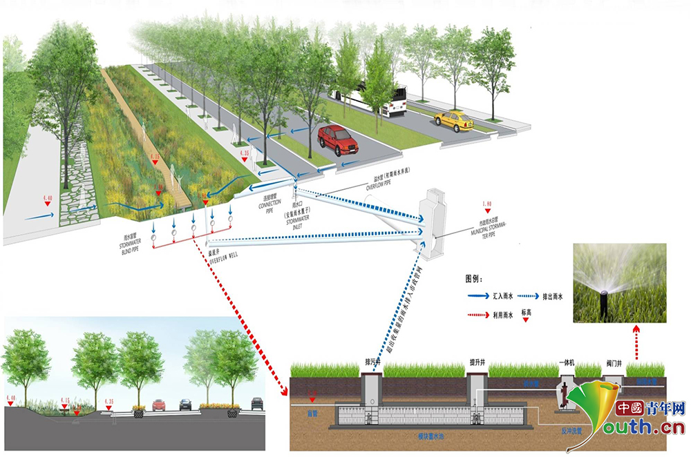 "雨水花园"项目示意图.资料图