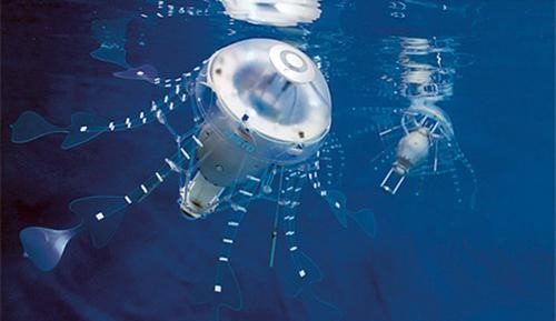 水下机器人 带你倾听“大海之声” 海底世界
