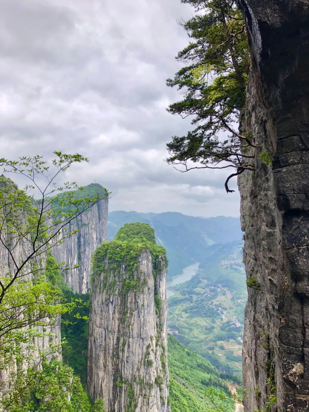 神龙架人口_许愿神龙图片(2)