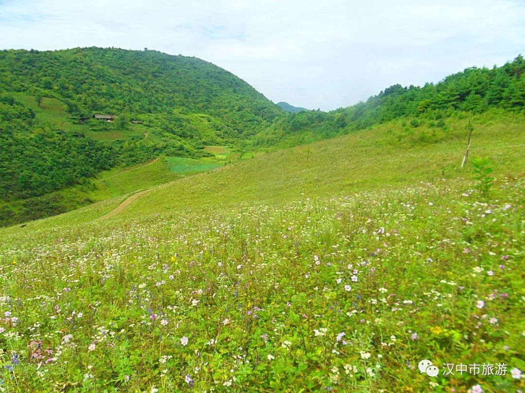 镇巴草坝生态农场