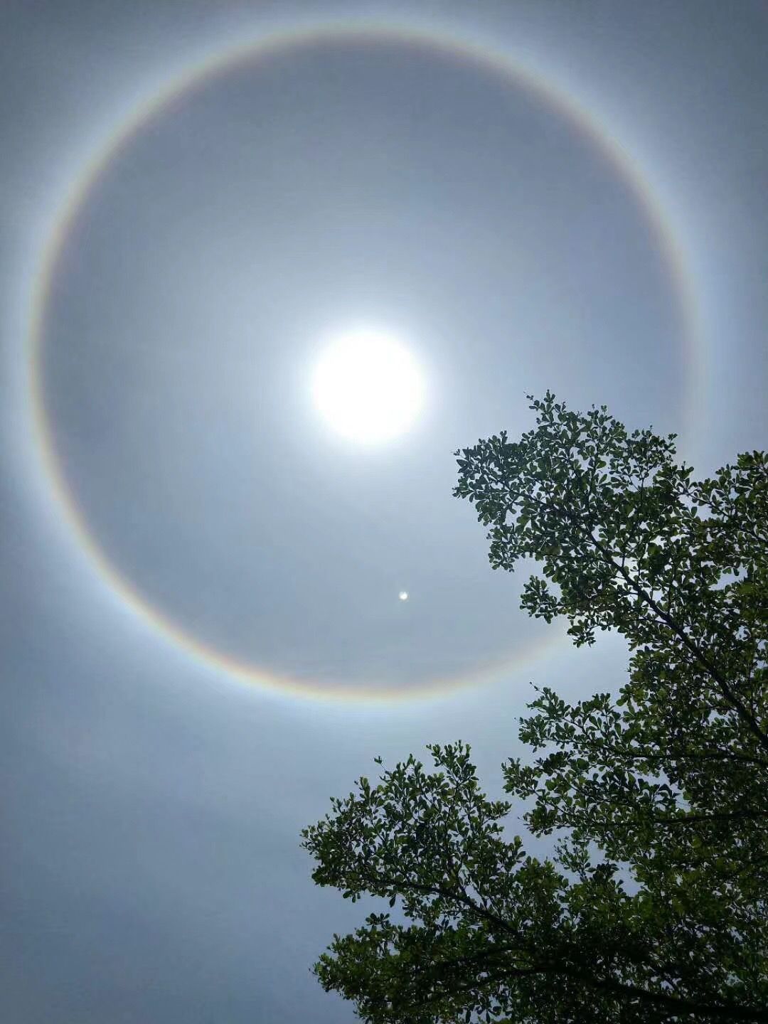 好美今天海南天空惊现大佛光刷爆朋友圈