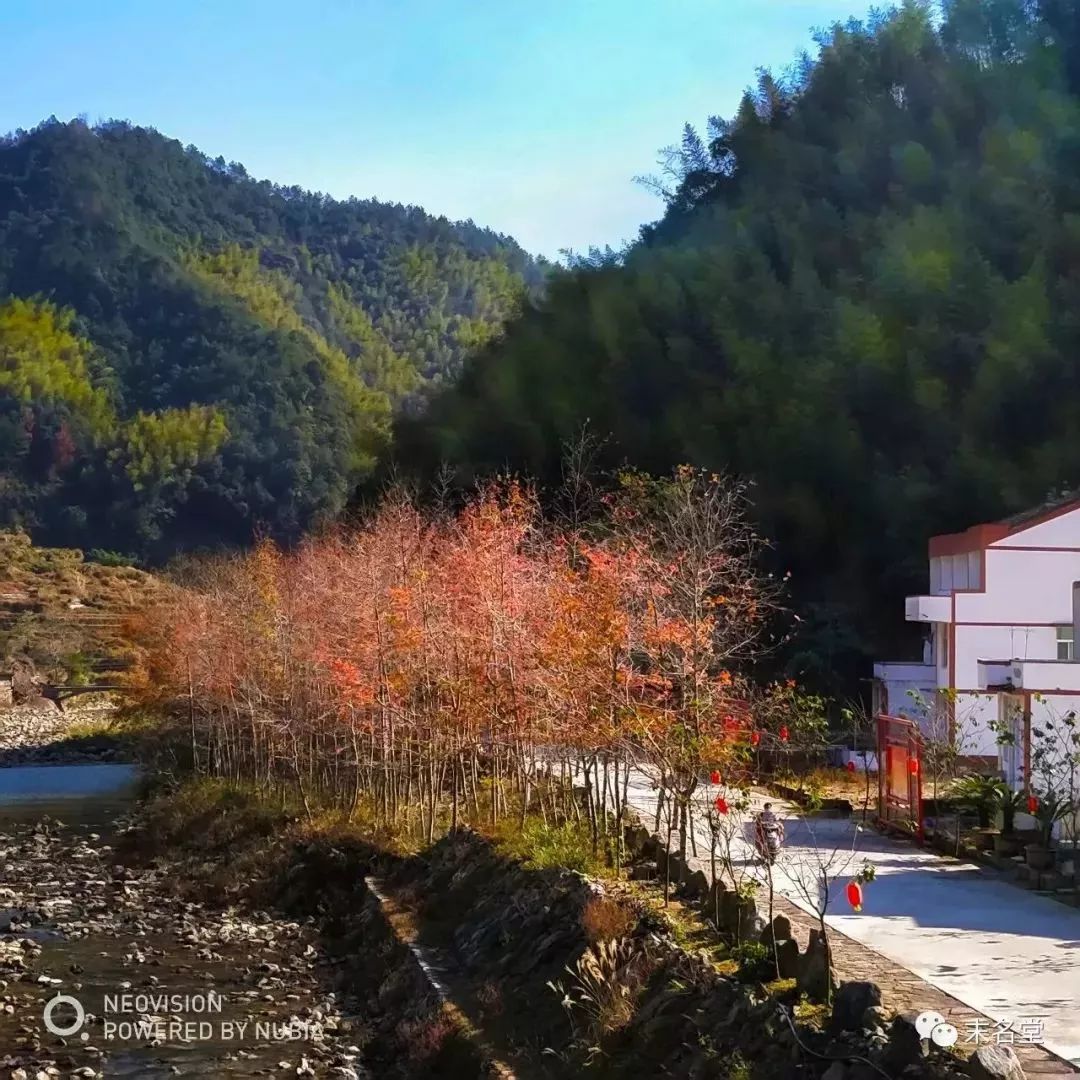 水口村隶属于平阳县怀溪镇,是一个四面环山的小山村.