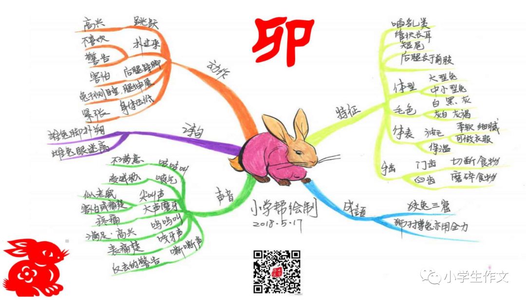 大福利手绘思维导图之12生肖附免费导图绘画课