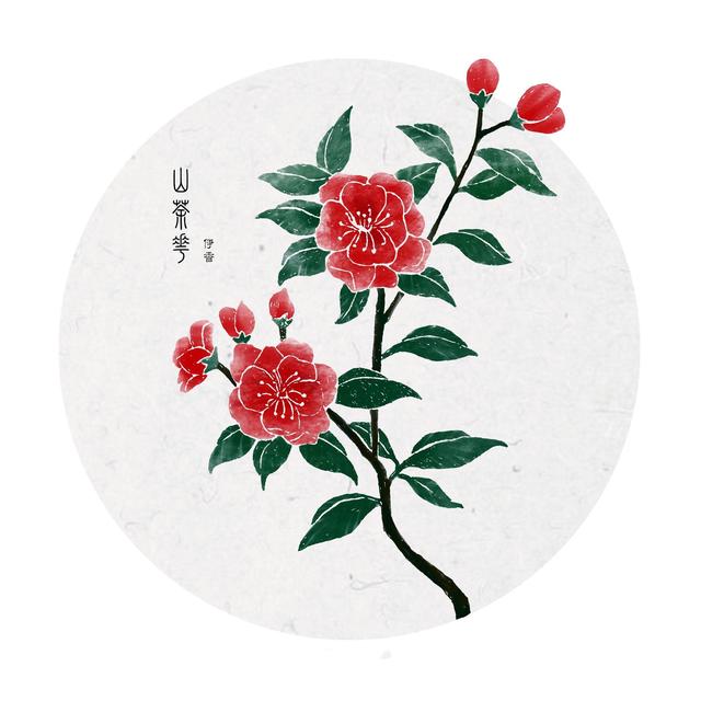 值得爱花的你称赞和收藏的中国四大名花