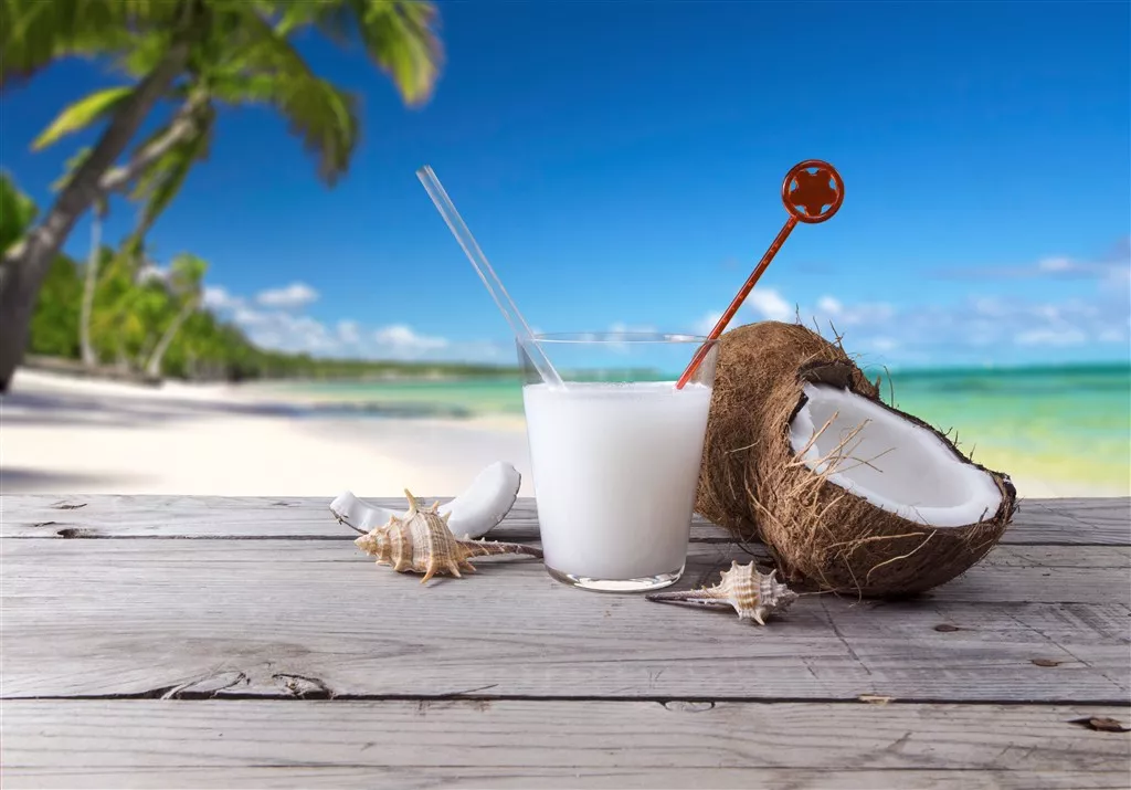 椰子汁行业标准征求意见鲜榨椰子汁不得添加香精