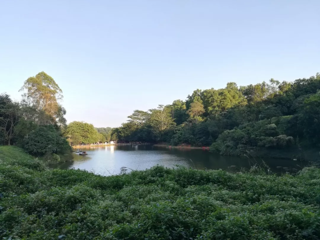 五月初夏,我们来了!九龙生态园农庄