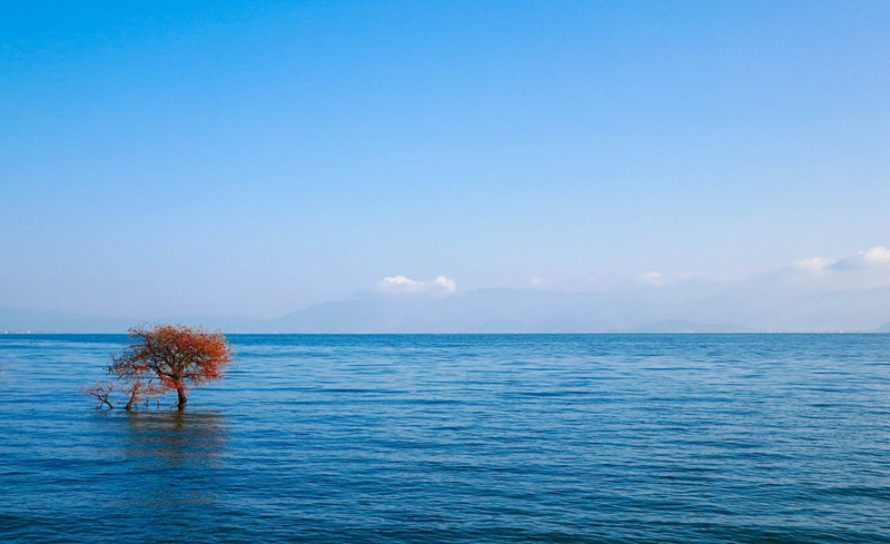 陪你看尽苍山洱海,阅遍世间美景!