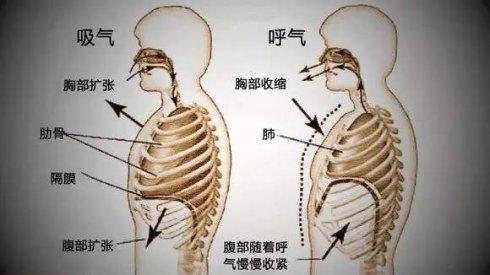 2.发声原理