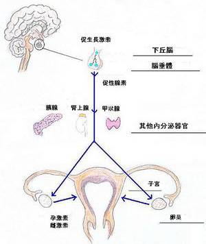 月经来早了怎么办