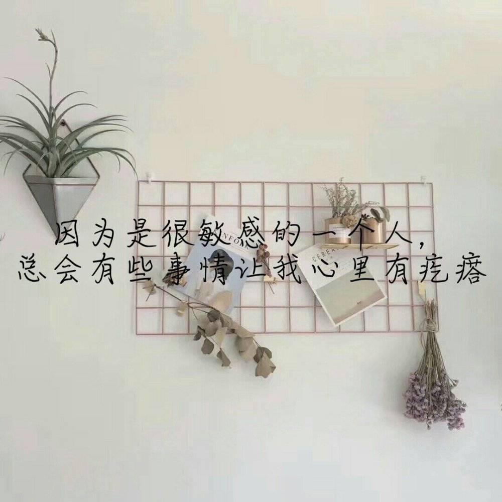 小清新文字,安抚你受伤的心