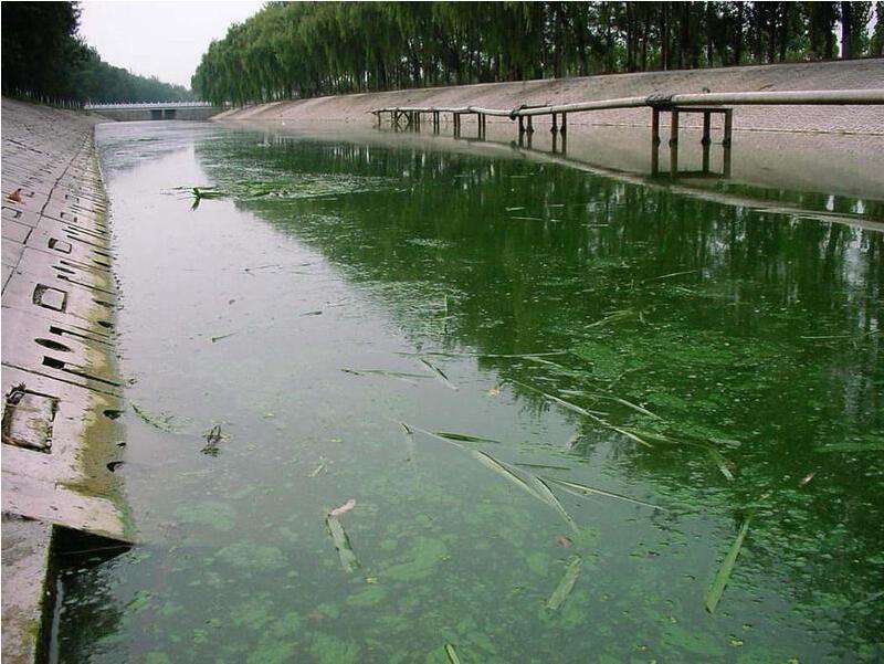 城市黑臭河道水生态修复的必要性