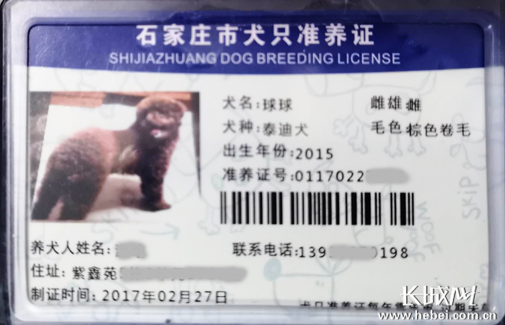 办理狗证后,需每年缴纳100元费用对犬证进行年检.  编辑:万栋义