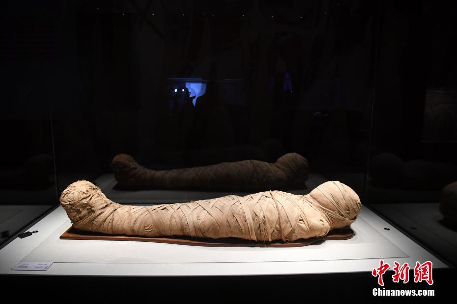在安徽省博物馆古埃及木乃伊特展上展出的"木乃伊",该木乃伊为成年