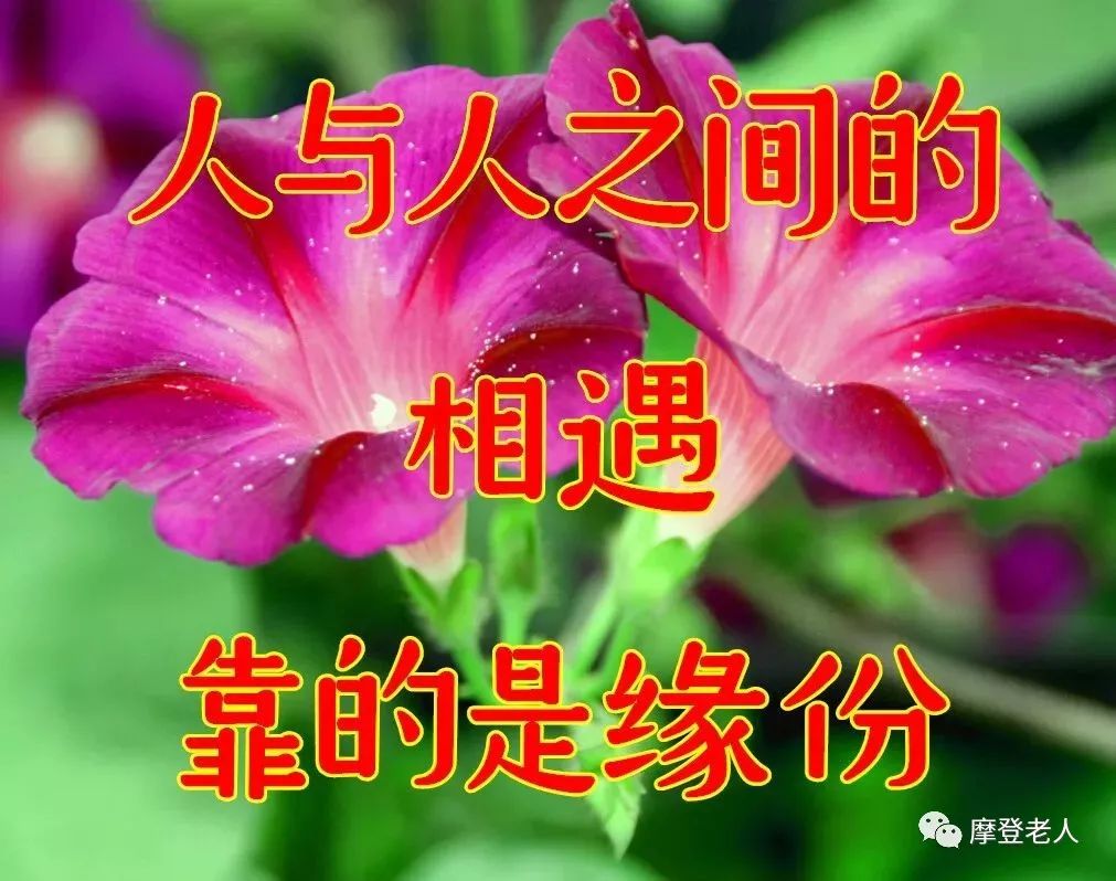 清晨送上一份真挚祝福,送给想我的人!