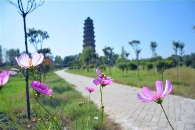 宜阳县张坞镇苏羊村