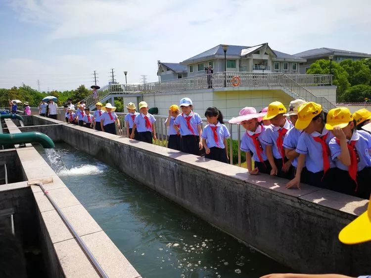 前洪小学:上好"五水共治"教育课