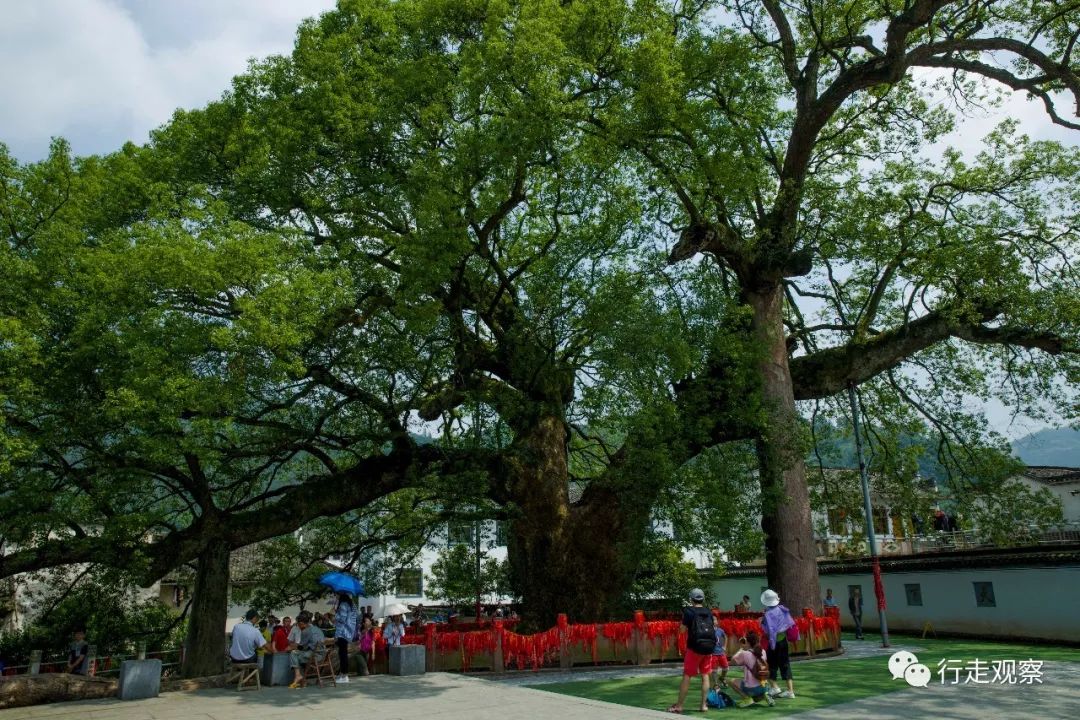 歙县有多少人口_安徽省歙县有多少人口 哪个镇人口最多