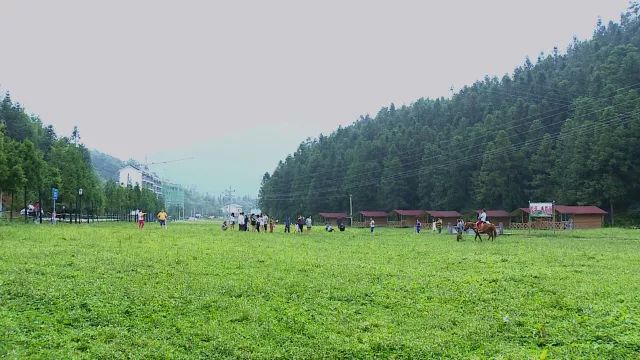 厉害了!丰都太平坝乡荣获"全国十佳生态文化旅游乡"荣誉称号