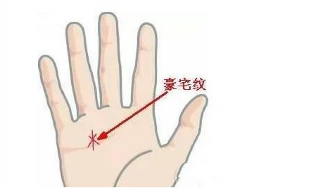 Δ注意:田字纹与口字纹 这两个纹路要出现在手掌事业线以及命运线