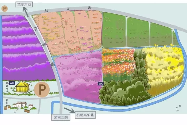 首先 要介绍给大家的是 ▽ 江北荪湖花海 精致的荪湖花海手绘地图 ▽