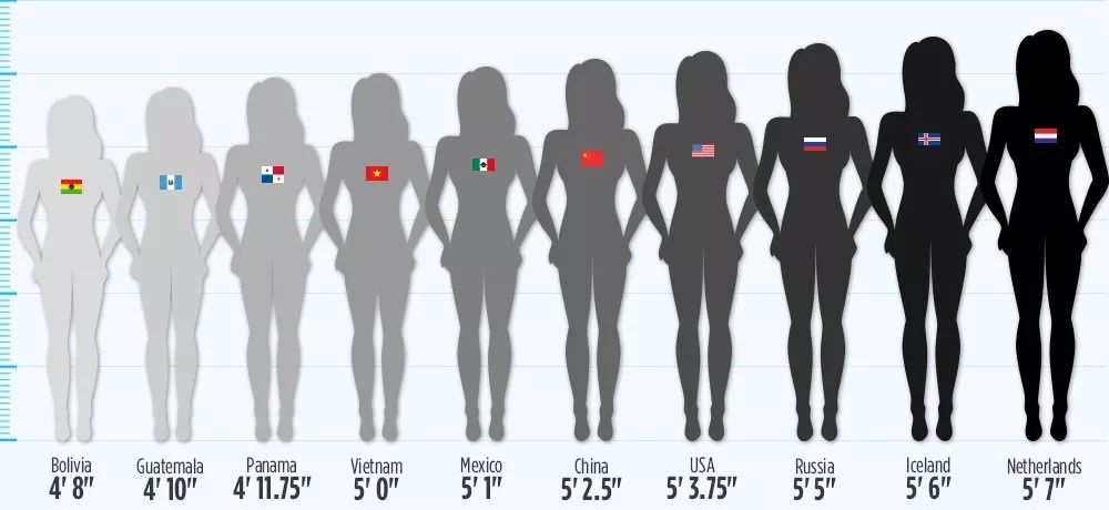 2cm,中国男性和荷兰男性的平均身高差距为15.