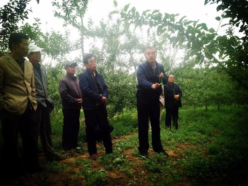 积极发展山台地杂果经济林,在郝家,算李,庄头,沟门前等村扶持苗木10.