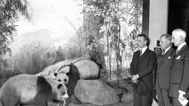 你知道租借一只大熊猫需要多少钱吗？尽管如此，西方人依旧痴迷着它