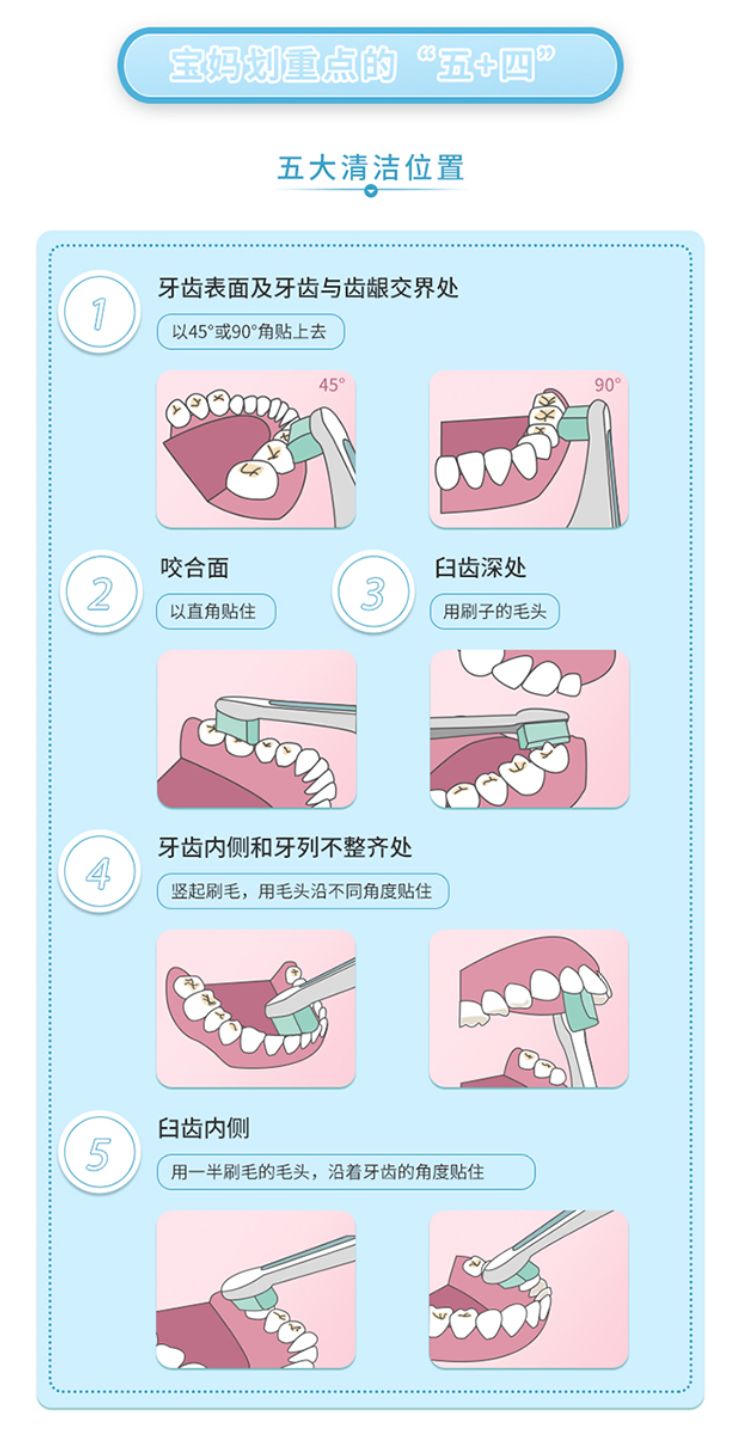 准确的刷牙方式讲究5 4原则