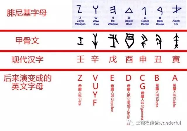 语言 26个英文字母的原始含义