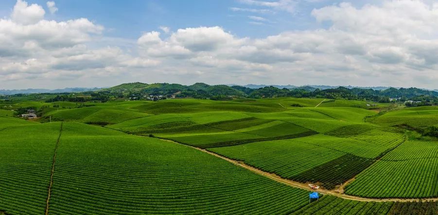 湄潭茶海景区