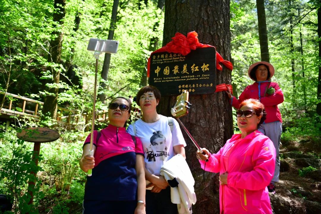 "中国旅游日"大海林太平沟原始林景区风景这边独好