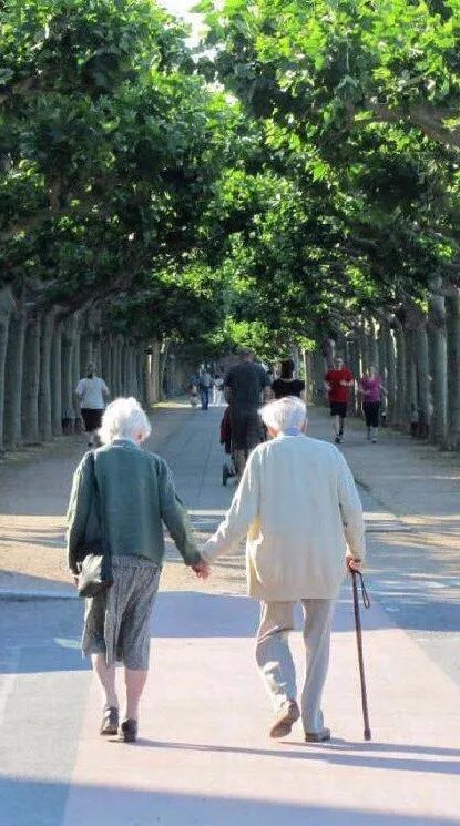 因为他们经历了岁月无常,也懂得了生活本质,却依旧能够相伴到老.