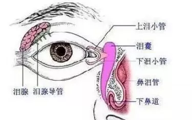 宝宝做泪道冲洗到底疼不疼