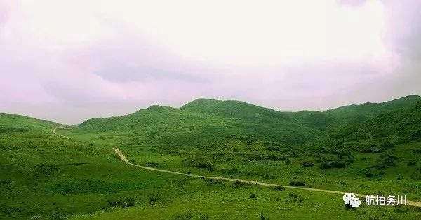 务川夏天避暑圣地,栗园万亩大草场,vr全景曝光!