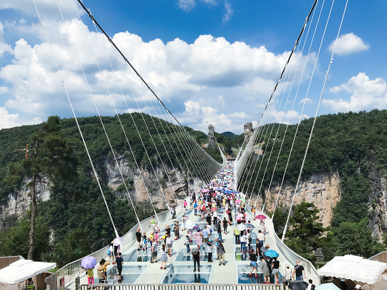 张家界大峡谷玻璃桥，湖南 (© MediaProduction/Getty Images) @20220519 | NiceBing 必应美图 ...