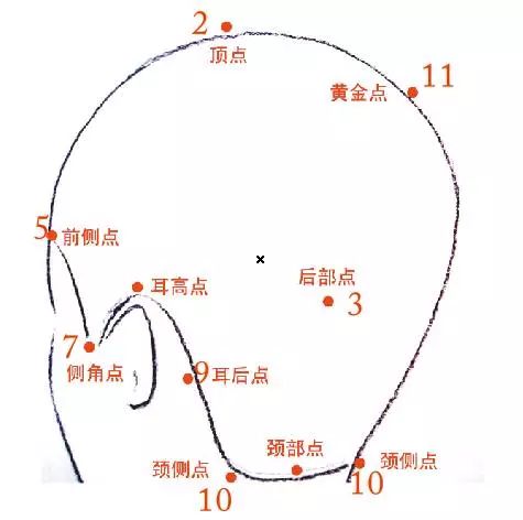 【剪烫技术连载1】头部分区修剪基础,发型师必须知道!